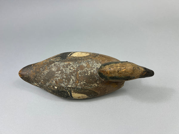 Tule Lake Attributed Wigeon Drake (4894)