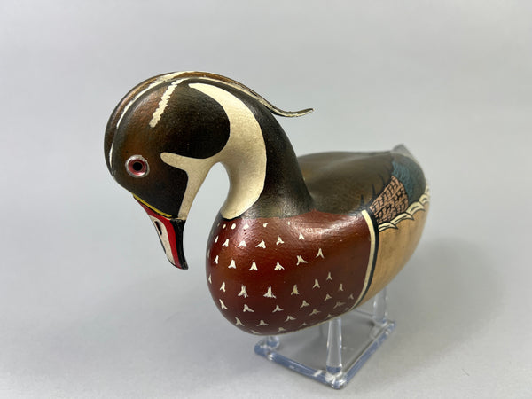 Virgil Hodge Wood Duck Raised Wings (#2909)