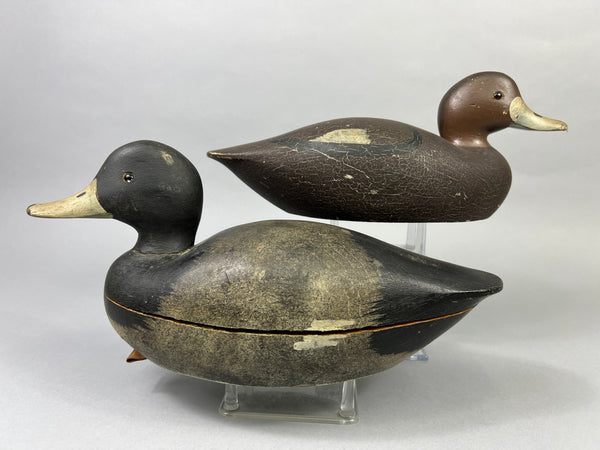 Keyes Chadwick Pair of Bluebills, Original Paint (#4847)