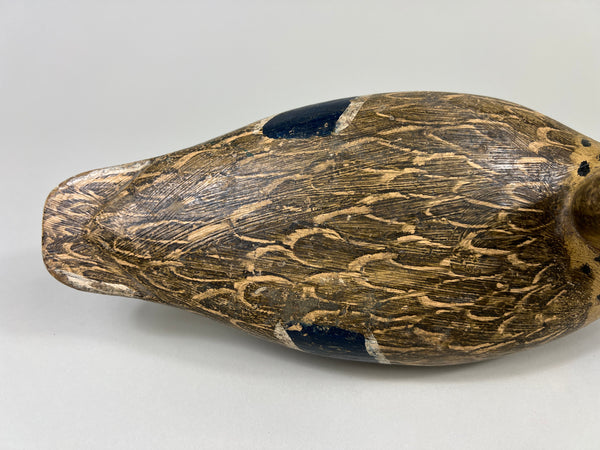 Otto Garren Mallard Hen (#8736)