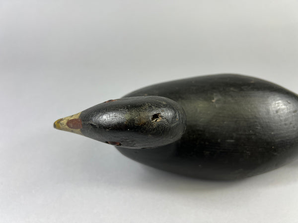 Pratt Factory Coot (#8028)