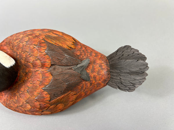 Mike & Nancy Scherer Turned Head Ruddy Duck (#8449)