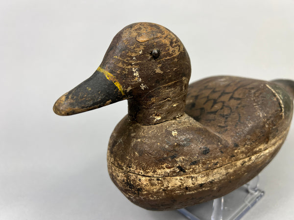 Unknown Illinois River Teal Drake (#1070)