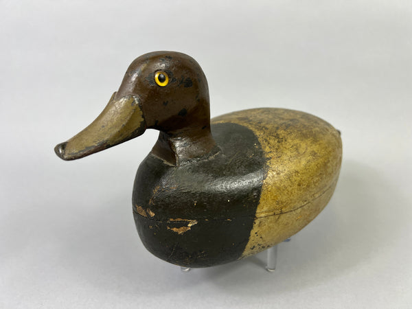 Unknown Illinois River Redhead, Circa 1920's (#3596)