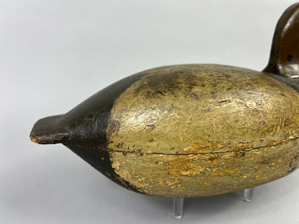 Unknown Illinois River Redhead, Circa 1920's (#3596)