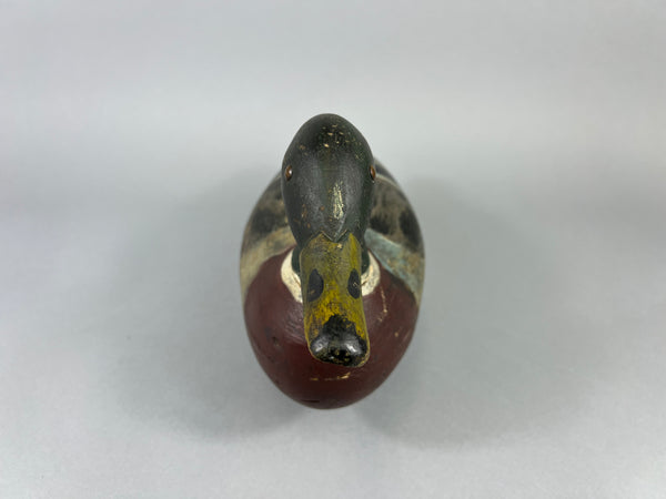 Unknown Early Illinois River Mallard Drake, Circa 1920’s (#181)