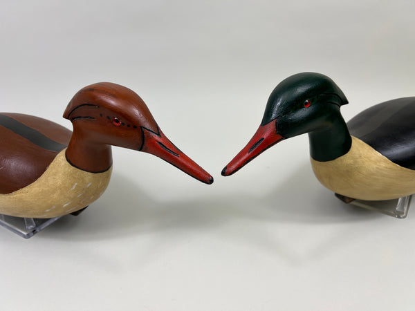 Pair of Swimming Common Mergansers (#5300)