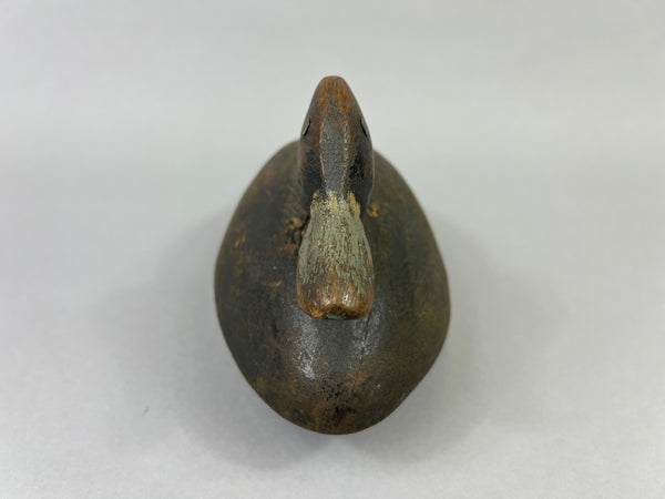 Unknown Canadian Blue Bill Drake (#5226)