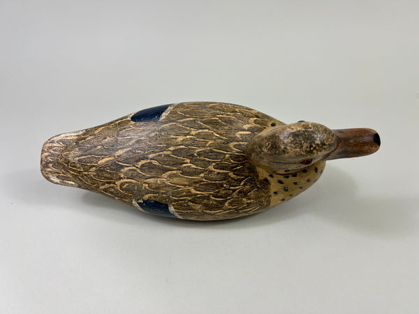 Otto Garren Mallard Hen (#8736)