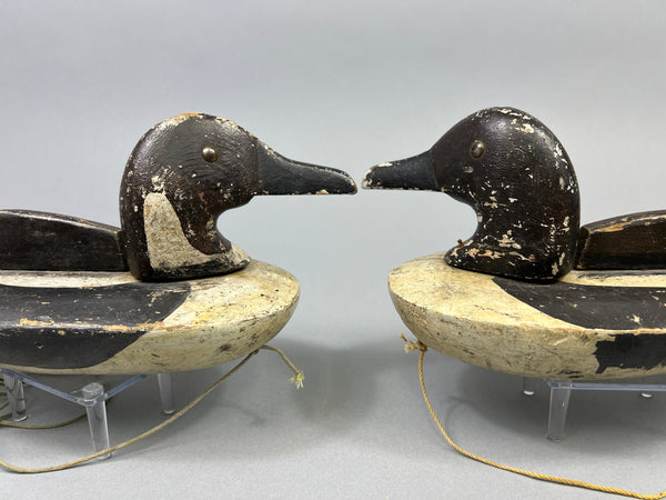 Folky Pair of Unknown Wisconsin Pintails (#3944)