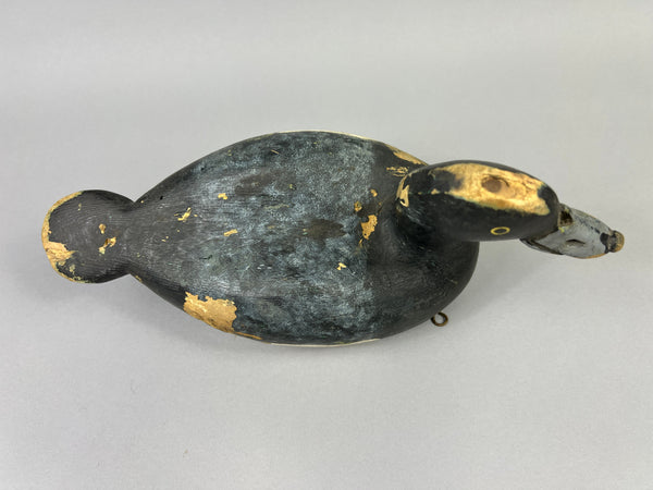 Hector Desmarais High Headed Blue Bill (#5289)