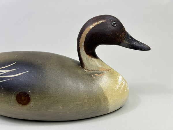 Wildfowler Pintail Drake, Old Saybrook, Rare Pine (#4248)
