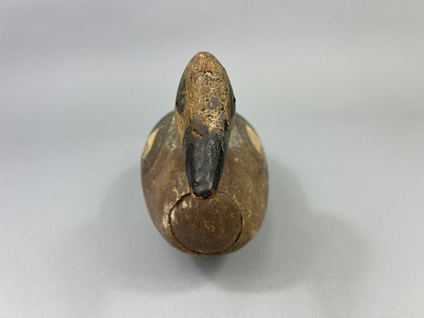 Tule Lake Attributed Wigeon Drake (4894)