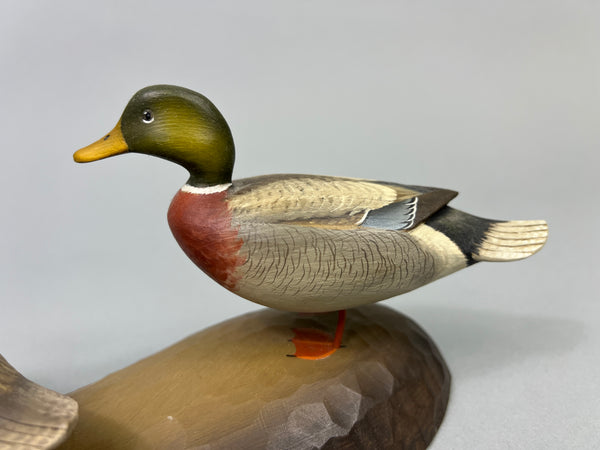 George Strunk Pair of Mini Mallards on Carved Wood (#5068)