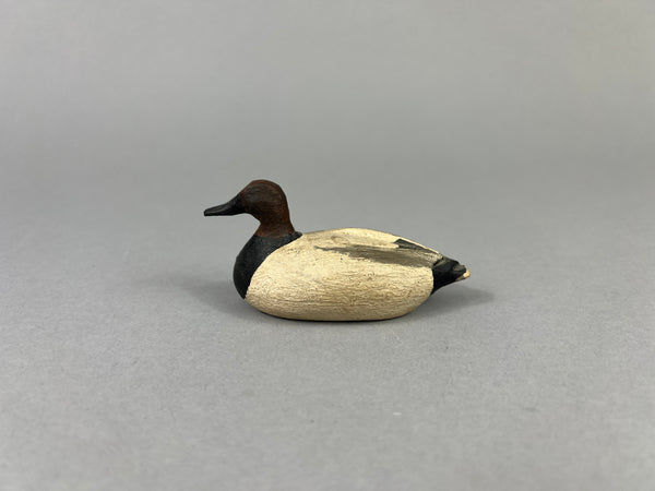 Mini Canvasback, Unknown  (#E52)