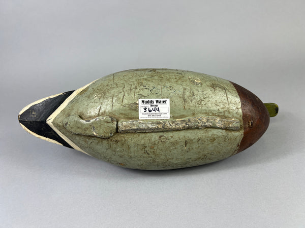 Leonard Doren Mallard Drake (#3644)