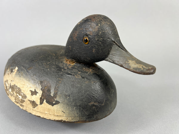 Quillen Style Bluebill (#3937)