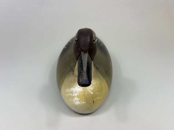 Wildfowler Pintail Drake, Old Saybrook, Rare Pine (#4248)