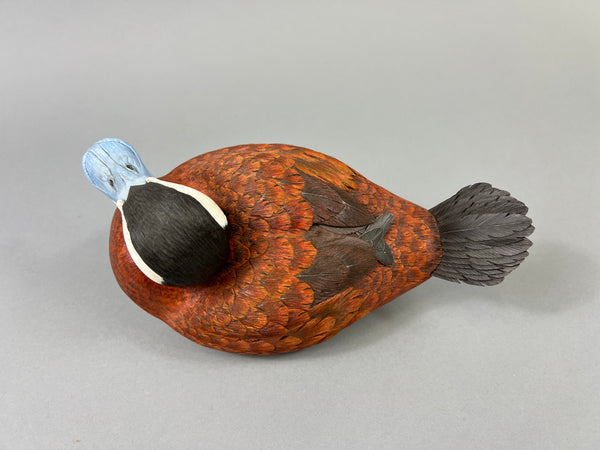 Mike & Nancy Scherer Turned Head Ruddy Duck (#8449)
