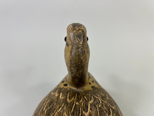 Otto Garren Mallard Hen (#8736)