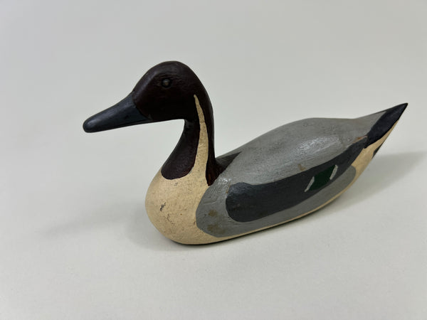 Unknown Midwest Miniature Pintail Drake (#4856)