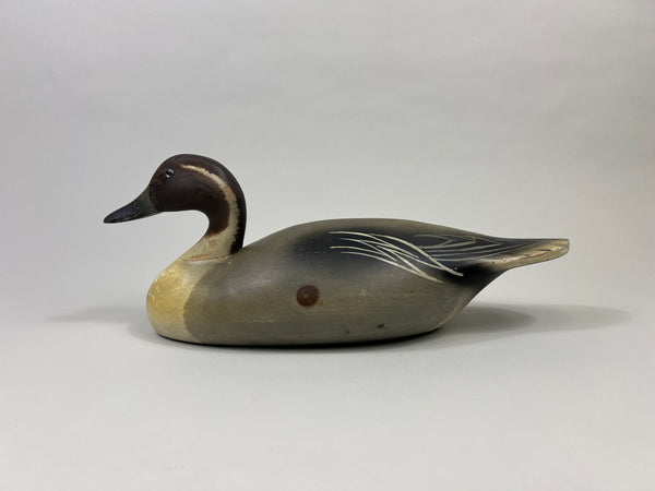 Wildfowler Pintail Drake, Old Saybrook, Rare Pine (#4248)
