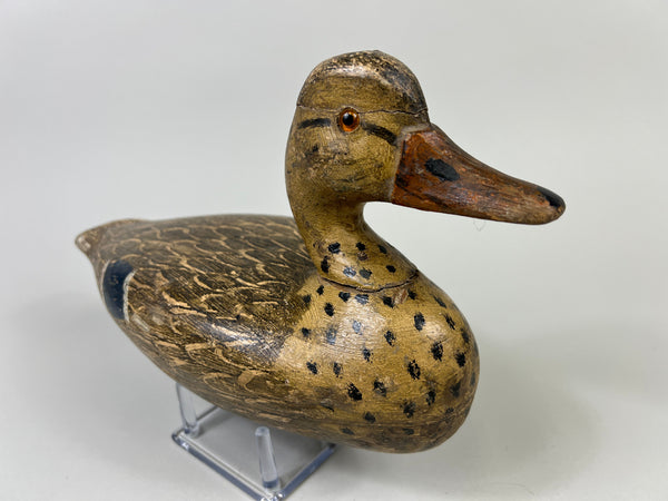 Otto Garren Mallard Hen (#8736)