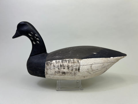 Dipper Ortley Brant, Circa 1950's (#3029)