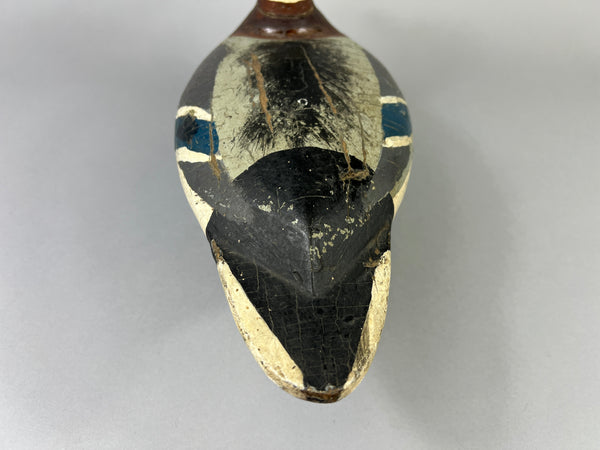 Leonard Doren Mallard Drake (#3644)