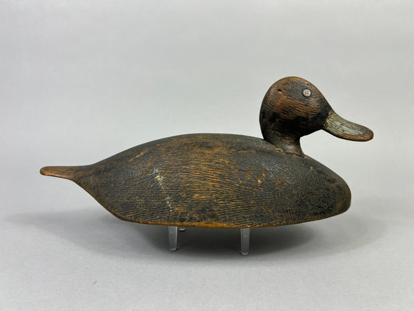 Unknown Canadian Blue Bill Drake (#5226)