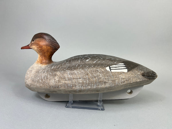 Peter Valkavich, Sr.  Red Breasted Merganser Hen (#2111)