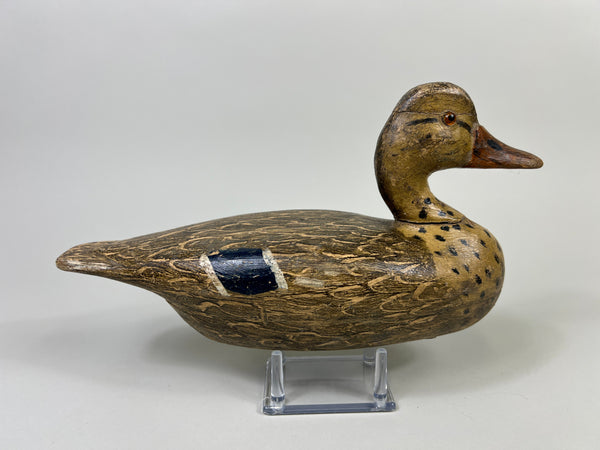 Otto Garren Mallard Hen (#8736)