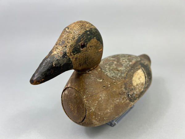 Tule Lake Attributed Wigeon Drake (4894)