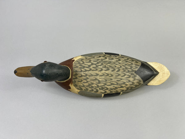 Roy Hancock Mallard Drake (#8485)