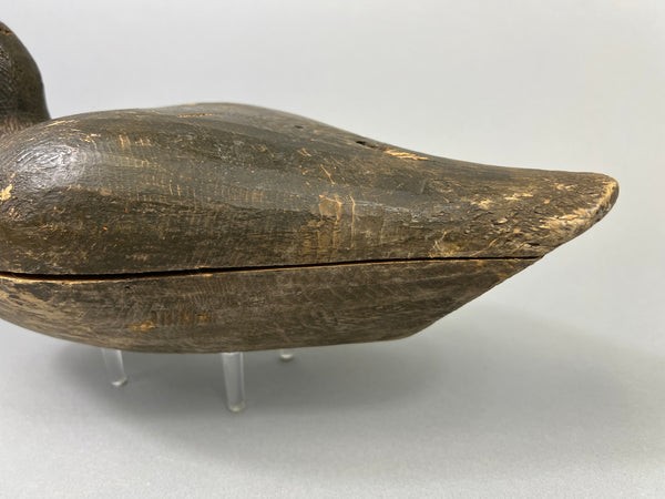 Peterson Canvasback, Circa 1900's (#1075)