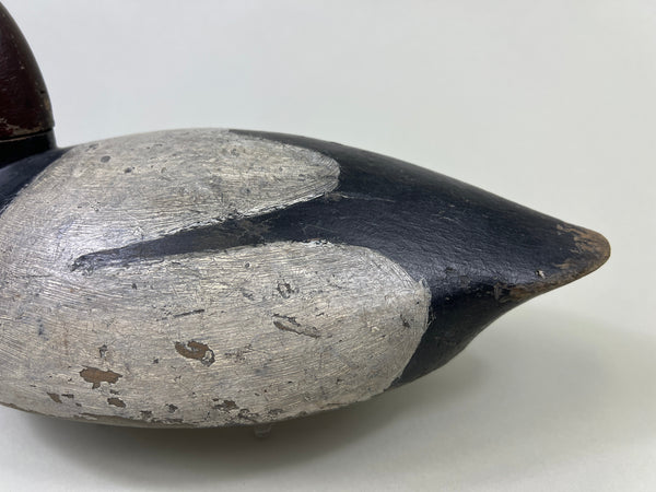 John R. Wells Canvasback Drake, Circa 1920's (#4703)