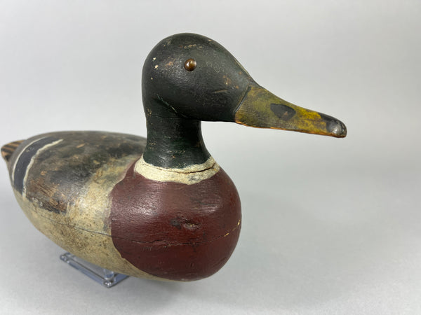 Unknown Early Illinois River Mallard Drake, Circa 1920’s (#181)