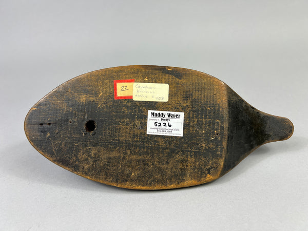 Unknown Canadian Blue Bill Drake (#5226)