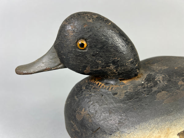 Quillen Style Bluebill (#3937)