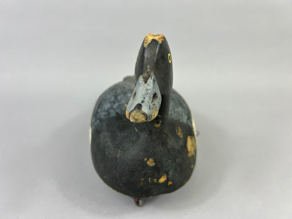 Hector Desmarais High Headed Blue Bill (#5289)