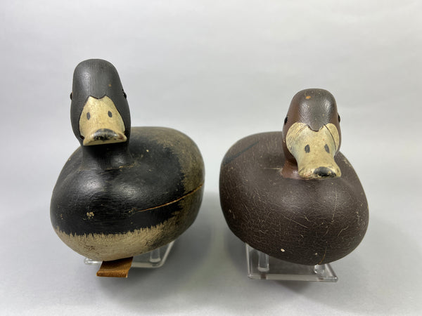 Keyes Chadwick Pair of Bluebills, Original Paint (#4847)