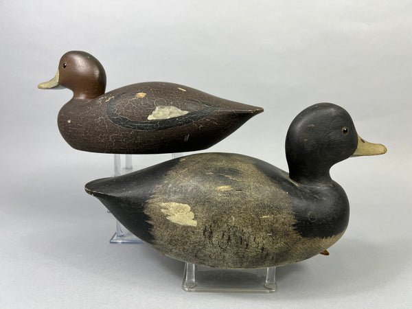 Keyes Chadwick Pair of Bluebills, Original Paint (#4847)