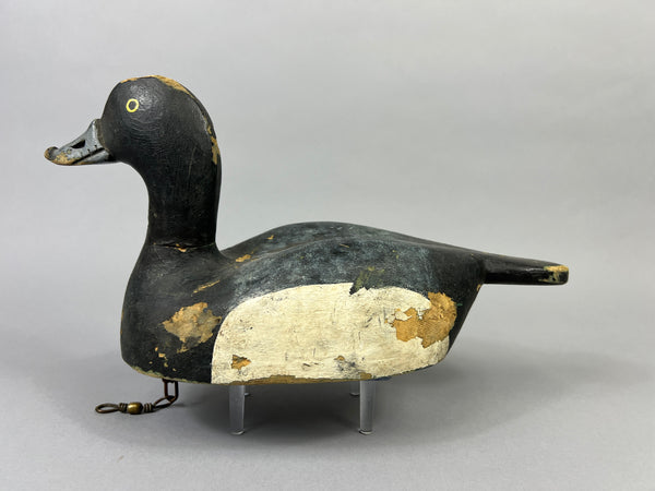 Hector Desmarais High Headed Blue Bill (#5289)