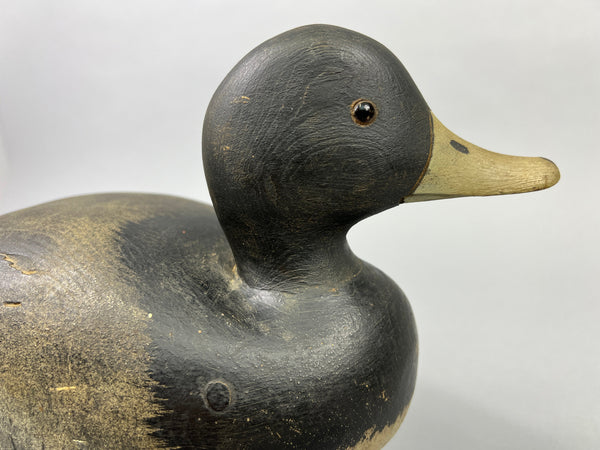 Keyes Chadwick Pair of Bluebills, Original Paint (#4847)