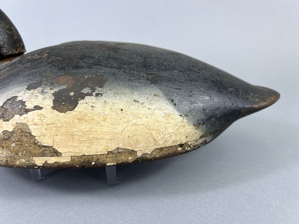 Quillen Style Bluebill (#3937)