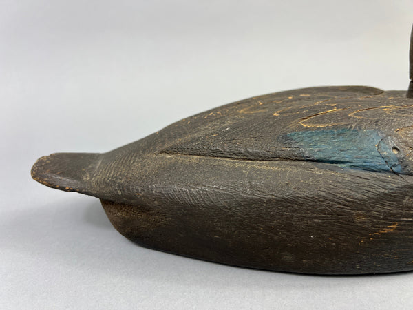 Michigan Black Duck Schmidt influence (#4771)