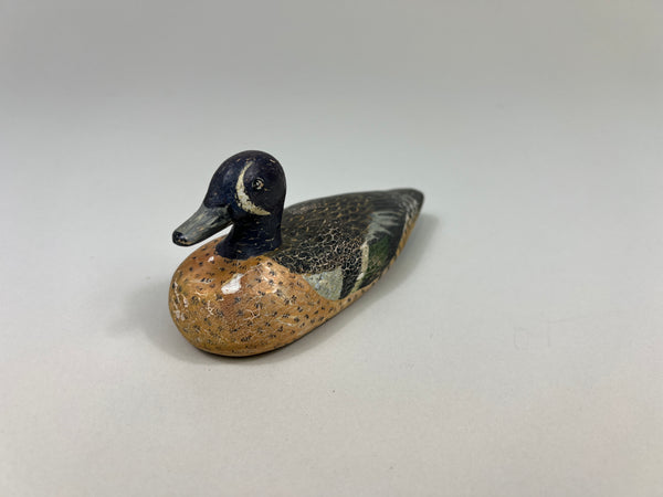 D. Ward Third Size Blue Wing Teal (#2367)