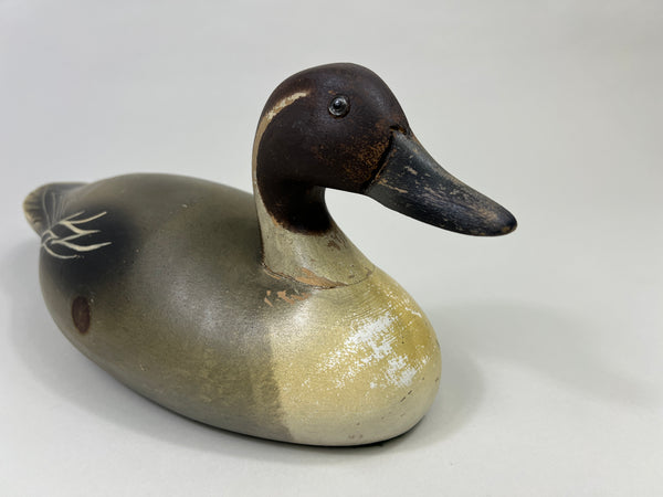 Wildfowler Pintail Drake, Old Saybrook, Rare Pine (#4248)