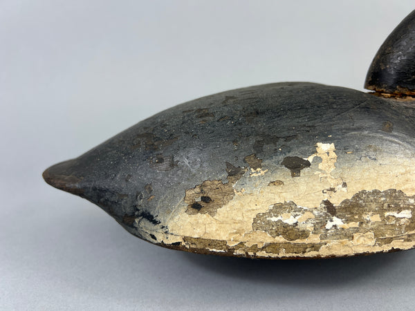 Quillen Style Bluebill (#3937)