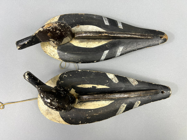 Folky Pair of Unknown Wisconsin Pintails (#3944)